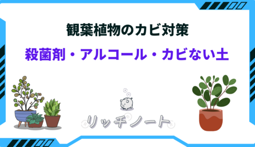 観葉植物のカビ対策グッズ3選｜殺菌剤やアルコール・カビない土など