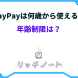 paypay 何歳 から