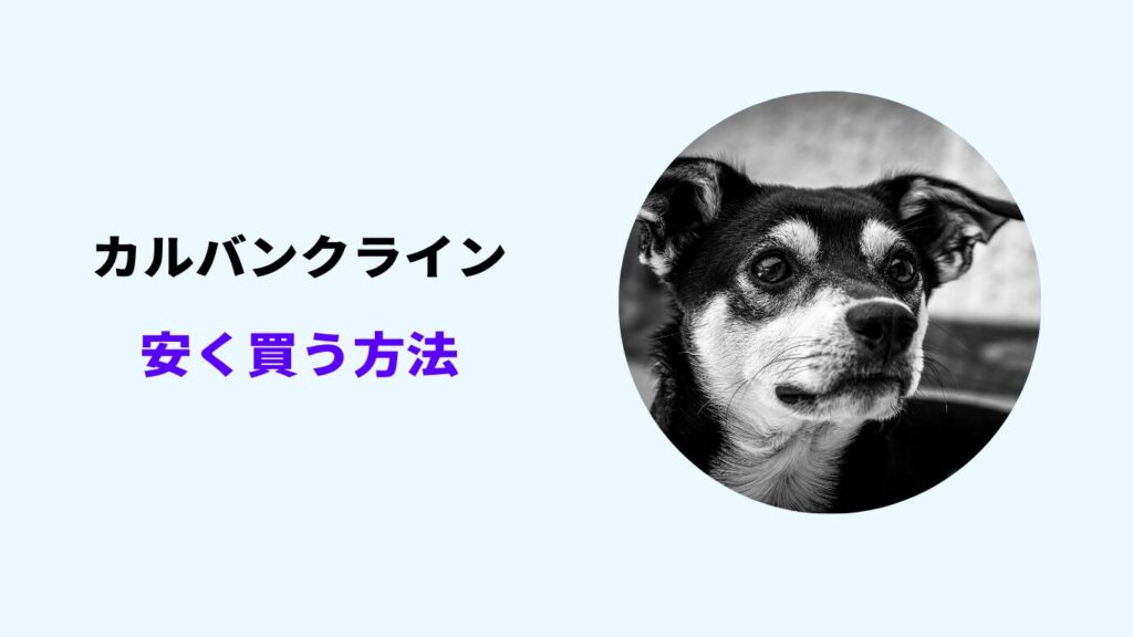 カルバンクライン 安く買う